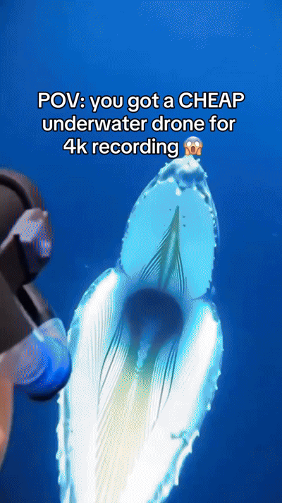 Mantavision™ App Controlled Rc Boat